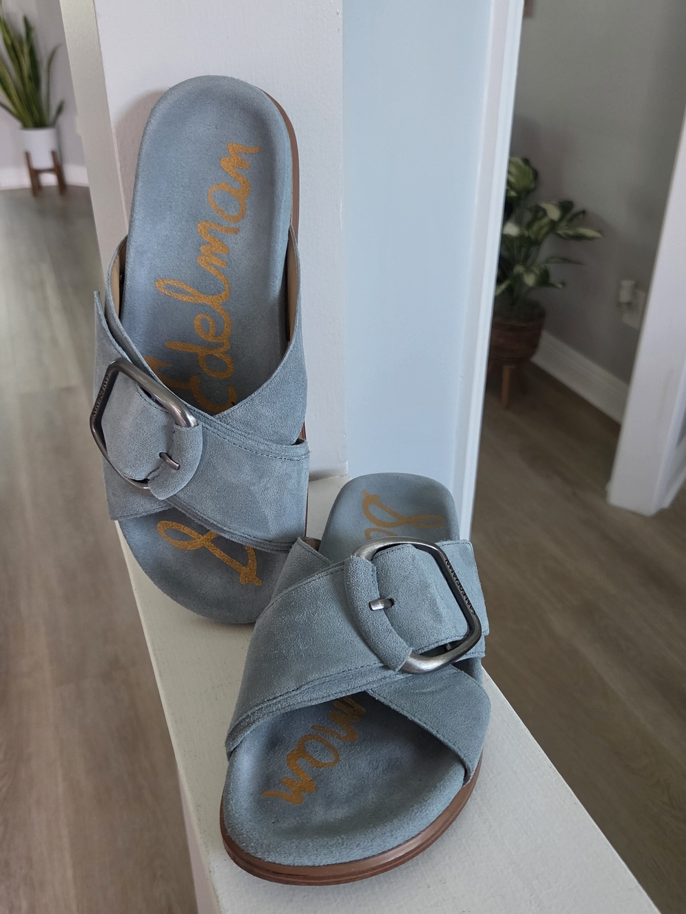 Sam Edelman Dusty Blue Suede Buckle Slide Mules